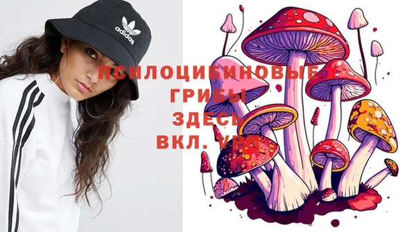 МДМА Гусев