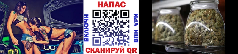 Купить где  Томск  Конопля индика 